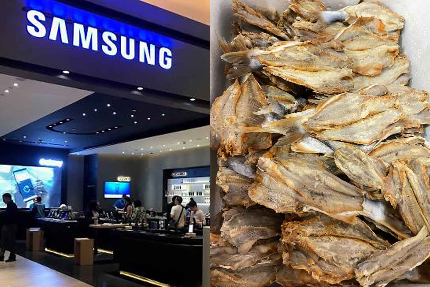 Dulu hanya jual ikan kering dekat kedai runcit sekarang jadi pengeluar telefon pintar terkenal dunia, ini kisah jatuh bangun Samsung