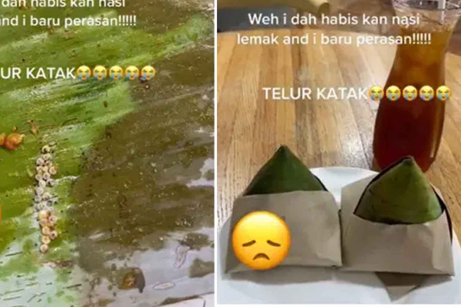 Jijik betul! Dah habis makan sebungkus nasi lemak, sekali tengok ada telur katak dalam tu