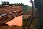 Besarnya! Lipan panjang 60cm ditemui di tapak lombong di Kuantan