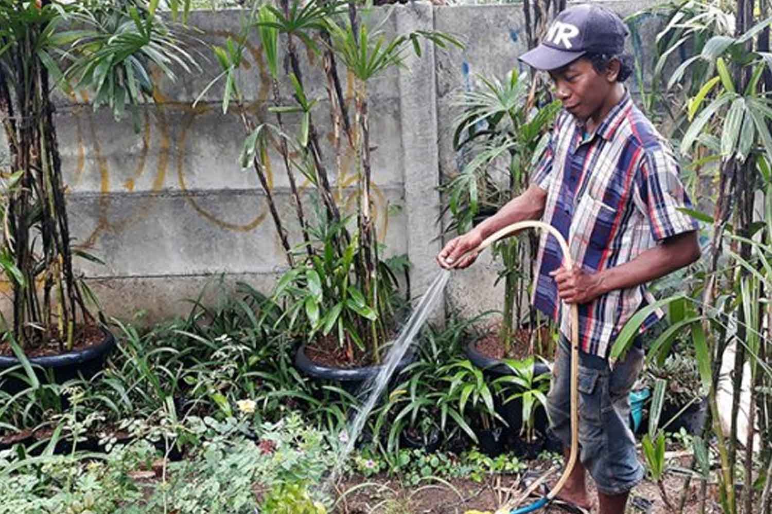 Gara-gara siram pokok pada musim kemarau, denda RM6000 menanti anda
