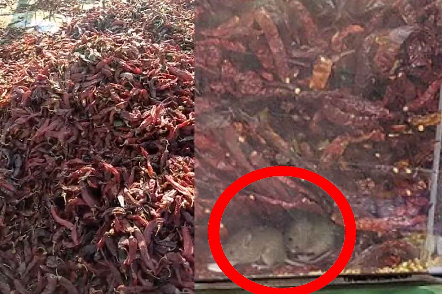 Viral tikus bersarang dalam timbunan cili kering di pasaraya terkenal