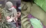 "Sebelum ini adiklah tempat saya mengadu, tak sangka adik dan suami sanggup buat maksiat depan anak di kampung, rumah mak sendiri!"