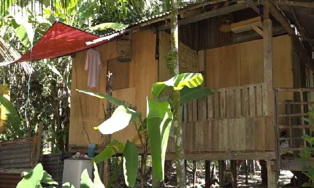 "Dulu keluarga bekas isteri hidup susah duduk di hujung kampung dalam hutan, demi nak kaya mereka sanggup rampas tanah saudara sendiri"