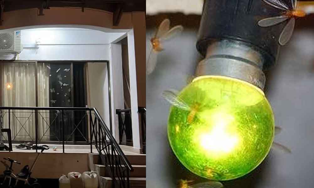 Rupanya ini sebab 'kelkatu' suka sangat hurung lampu dalam rumah