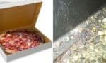 Najis tikus dalam kotak pizza, restoran pizza terkenal diarah tutup